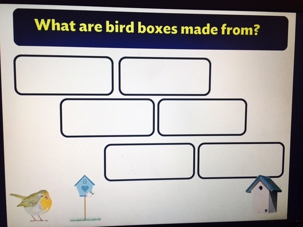 Design and technology Bird Box Project