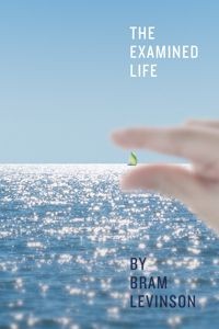 The Examined Life Audiobook (One File, Chapters Undivided) by Bram Levinson