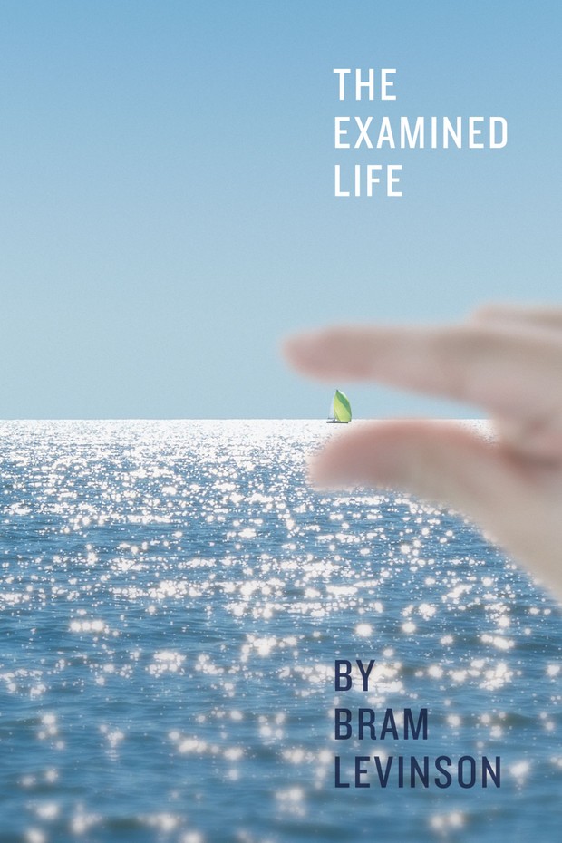 The Examined Life Audiobook (Chapters Divided) by Bram Levinson