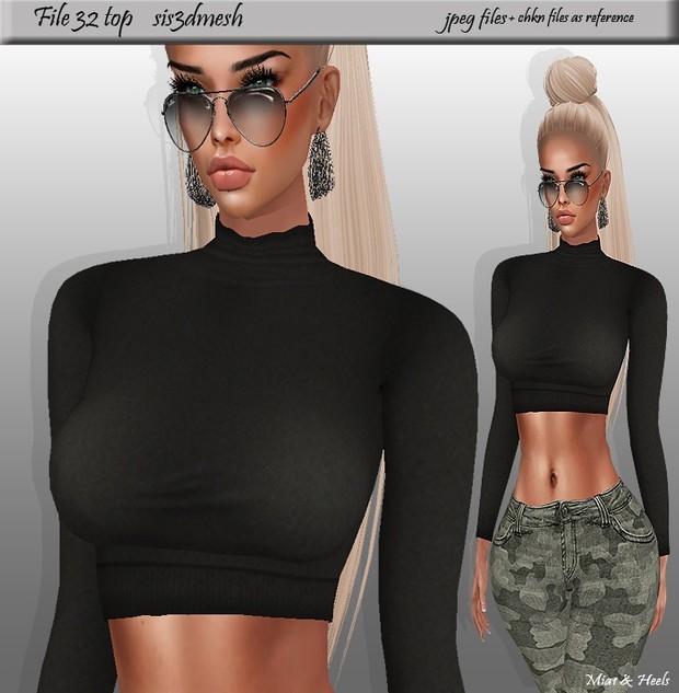 File 32 ( tops on sis3D mesh )