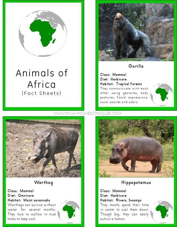 Animals of Africa