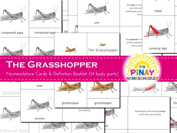 The Grasshopper