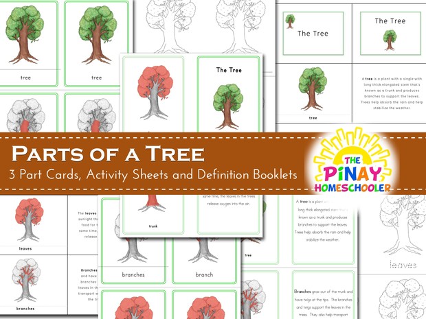 Parts of a Tree