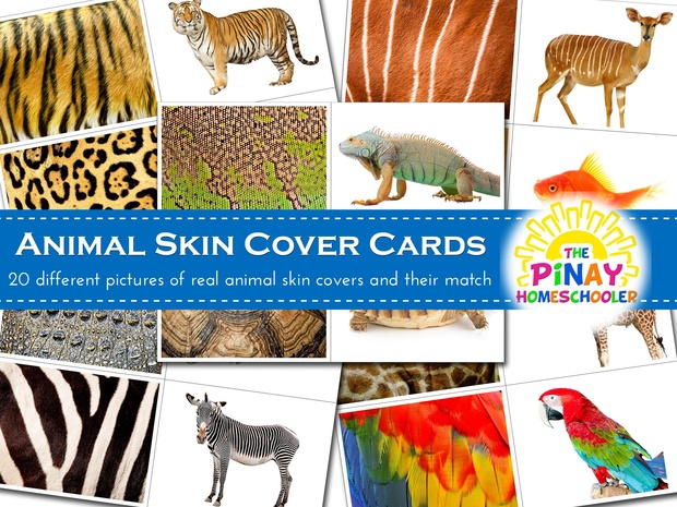 Animal Skin Cover Cards