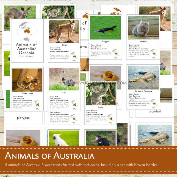 Montessori Animals of Australia / Oceania 3 Part Cards and Fact Sheets