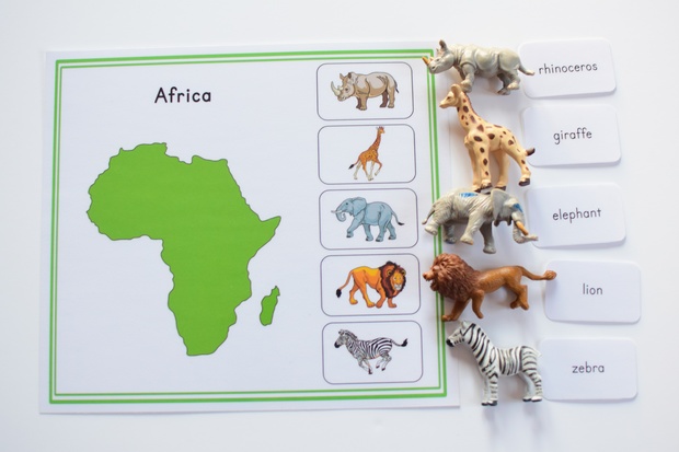 Animal Continents Activity Sheets