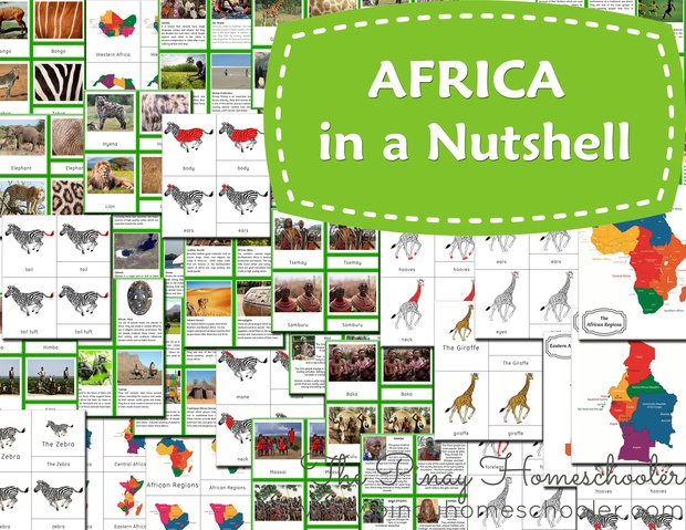 Africa in a Nutshell