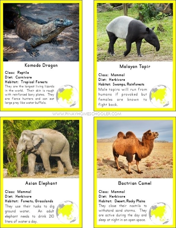 Animals of Asia