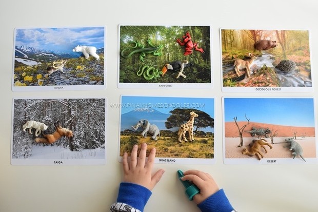 Animal Habitats (Sorting Cards)