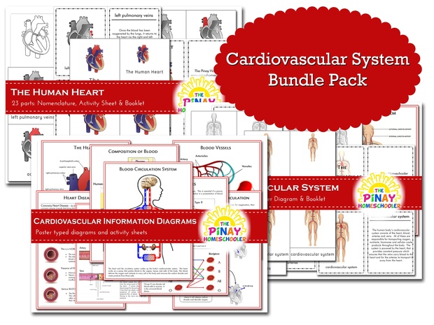 Cardiovascular System BUNDLE PACK