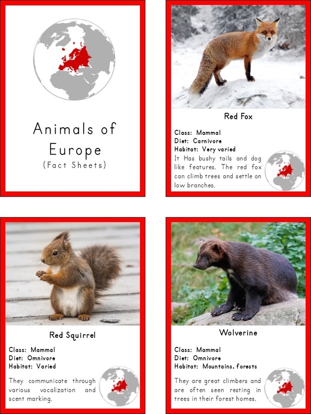 Montessori Animals of Europe 3 Part Cards and Fact Cards