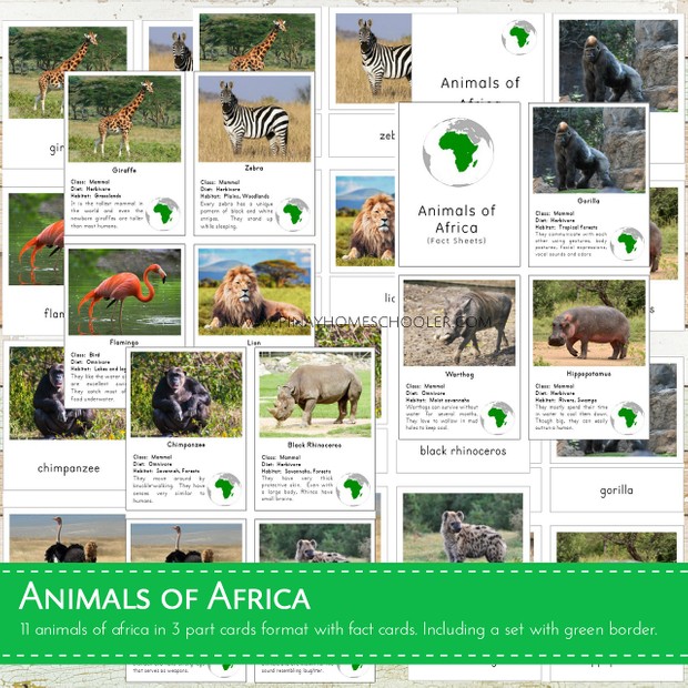 Animals of Africa