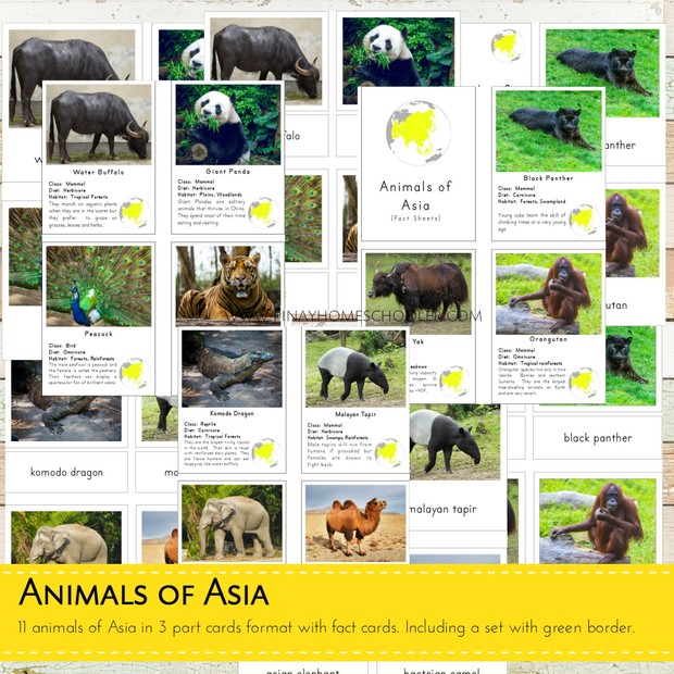 Animals of Asia