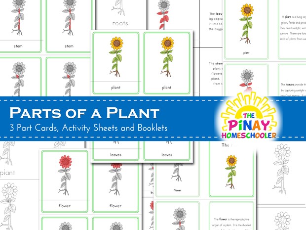 Parts of a Plant