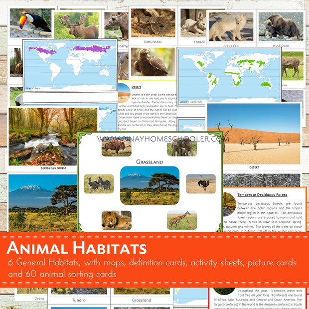 Animal Habitats (Sorting Cards)