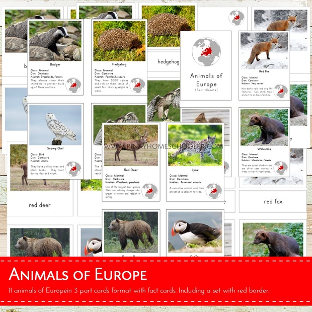 Montessori Animals of Europe 3 Part Cards and Fact Cards