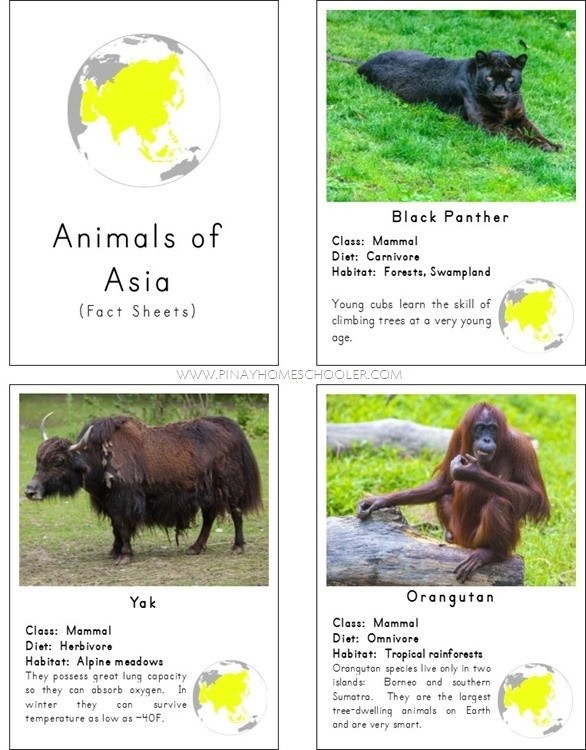 Animals of Asia