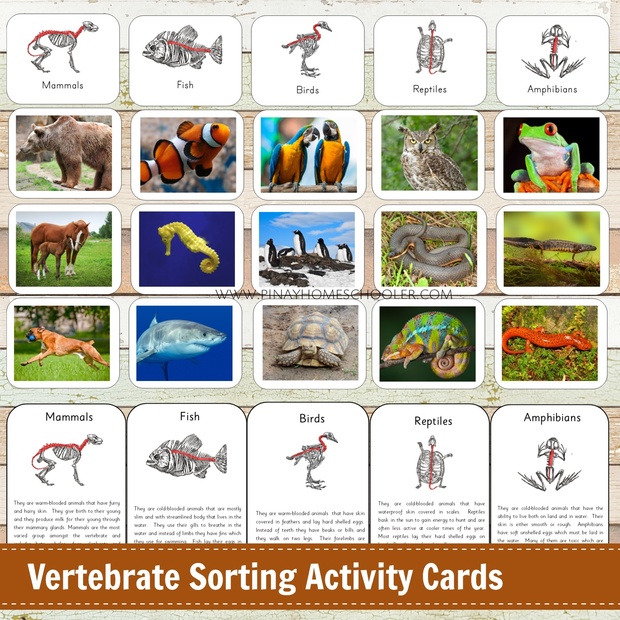 Vertebrate Sorting Card Activities