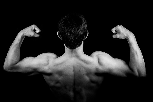 100 Push Ups & 50 Pull Ups Program (FREE or 2,49 euro)