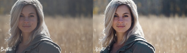 BLUELUTS - Pack 3 - The Cine LUTs
