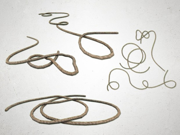 Rope - 3D Model