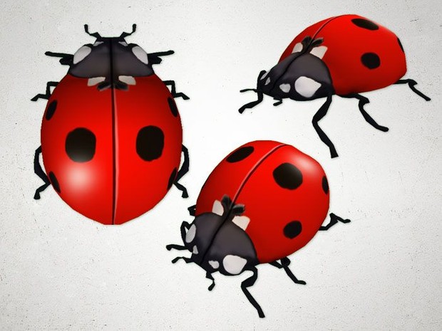 Ladybug - 3D Model