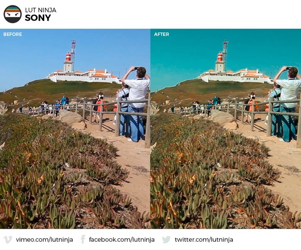 Sony 3D LUT Color correction grading file by LUT Ninja