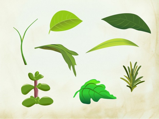 Leaves Scrapbook Elements (25 png images)