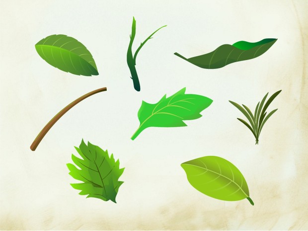 Leaves Scrapbook Elements (25 png images)