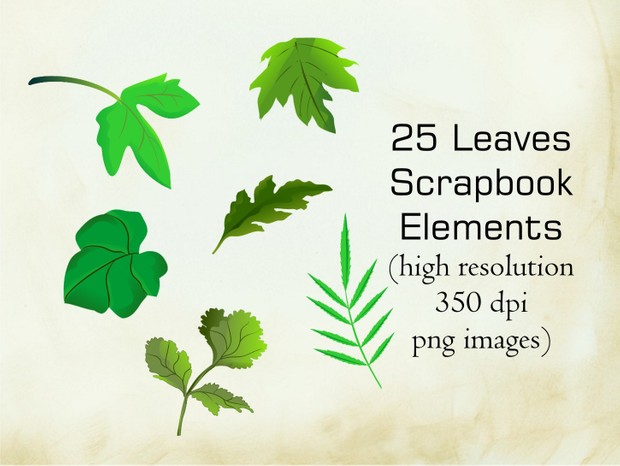 Leaves Scrapbook Elements (25 png images)