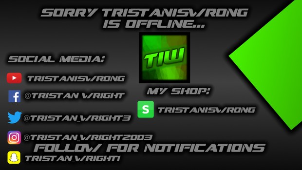 offline twitch banner tristaniswrong