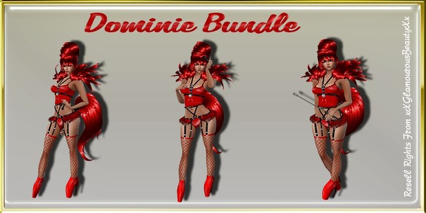 Dominie BDSM Bundle Resell Rights!!!