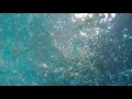 00250_GoPro Hero 4 footage underwater down-up view seamless loop
