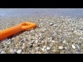 00246_GoPro Hero 4 footage 1080p/60fps summer time vacation beach side