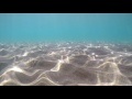 00291_GoPro Hero 4 footage 1080p/60fps underwater sand dune seamless loop