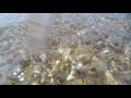00261_GoPro Hero 4 footage 60fps beach side stones pebble and coastal waves