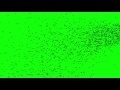 00251_locust swarm silhouettes flying on green screen 2D animation