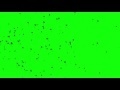 00151_Dandelions silhouettes flying on green screen 2D animation
