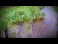 00199_GoPro Hero 4 free footage 1080p/60fps swamp river seamless loop