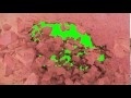 00113_wall explode on green screen 3D animation with slow motion effect