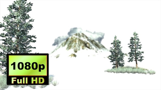 00022_Blue spruce tree and grass in the winter 3D animation