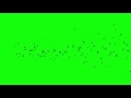 00129_birds silhouettes flying on green screen 3D animation