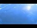 00230_GoPro Hero 4 footage 60fps streaming blue clear water seamless loop