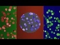 00257_abstract animated colorful circles falling slowly seamless loop