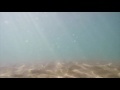 00290_GoPro Hero 4 footage 1080p/60fps underwater sand dune seamless loop