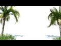 00229_Queen Palms and grass with wind effect 3D animation
