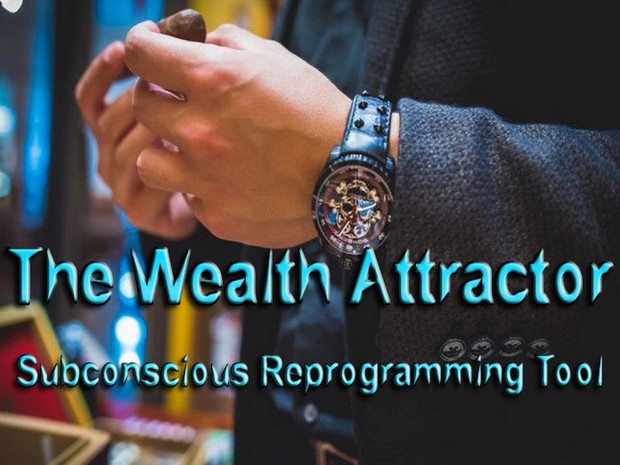 The Wealth Attractor Mind Movie