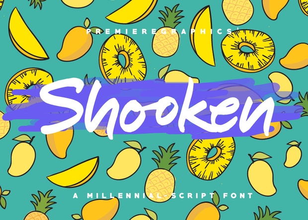 Shooken Fonts + Extras & Swashes