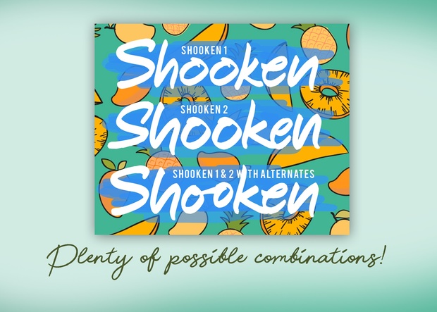 Shooken Fonts + Extras & Swashes