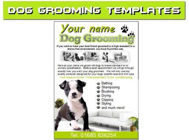 Dog grooming Business
